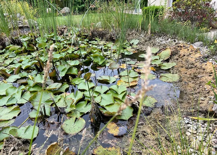 Appartement Mit Eigenem Zugang In Mitte-nord Pattensen (Hanover)